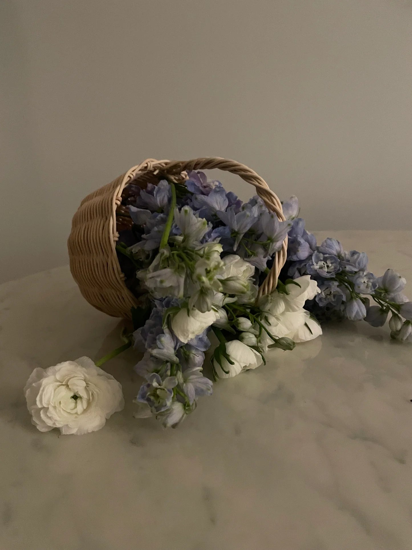 Beginner Basket Weaving Kit: Baby Botanical Basket