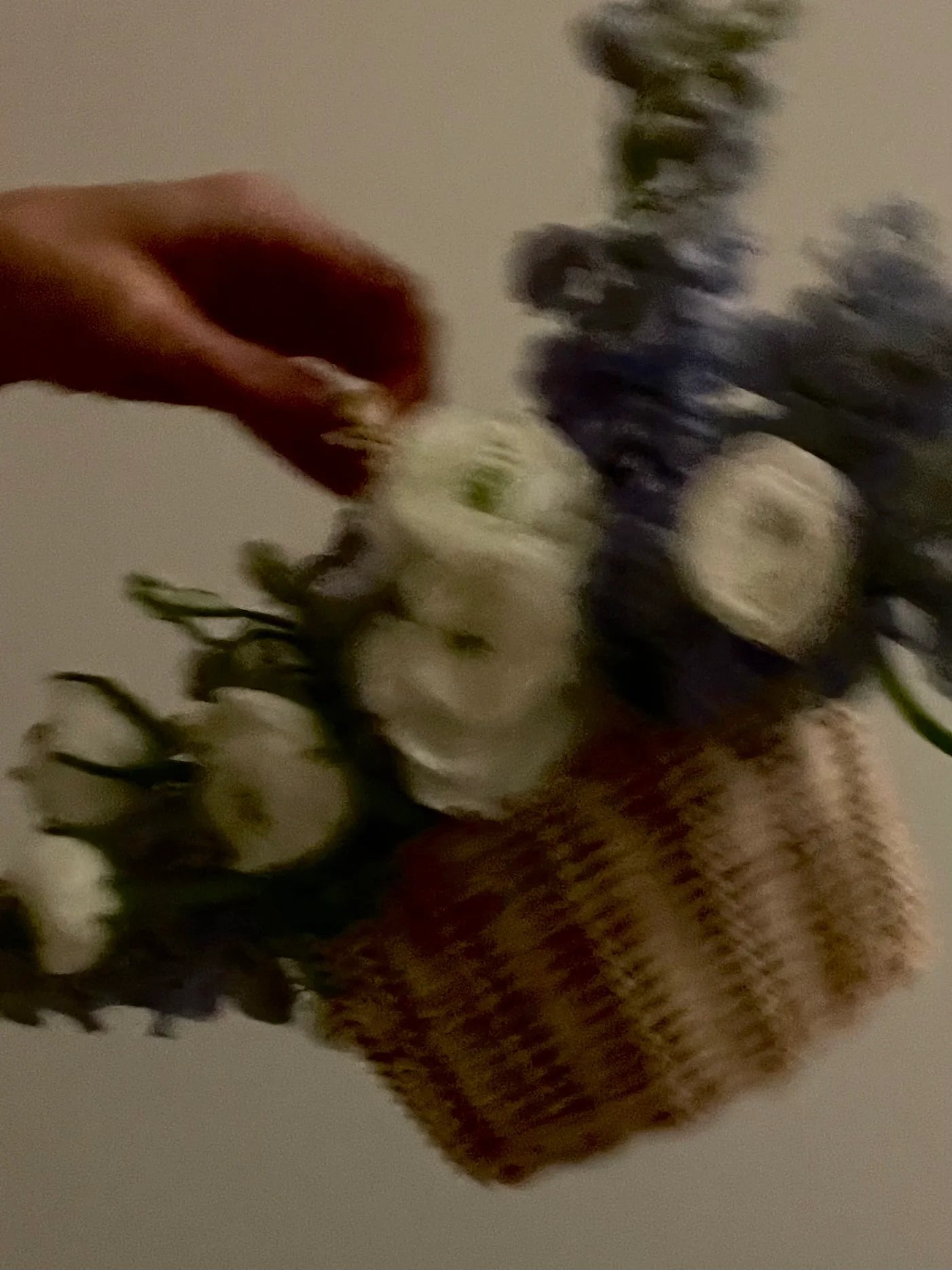 Beginner Basket Weaving Kit: Baby Botanical Basket
