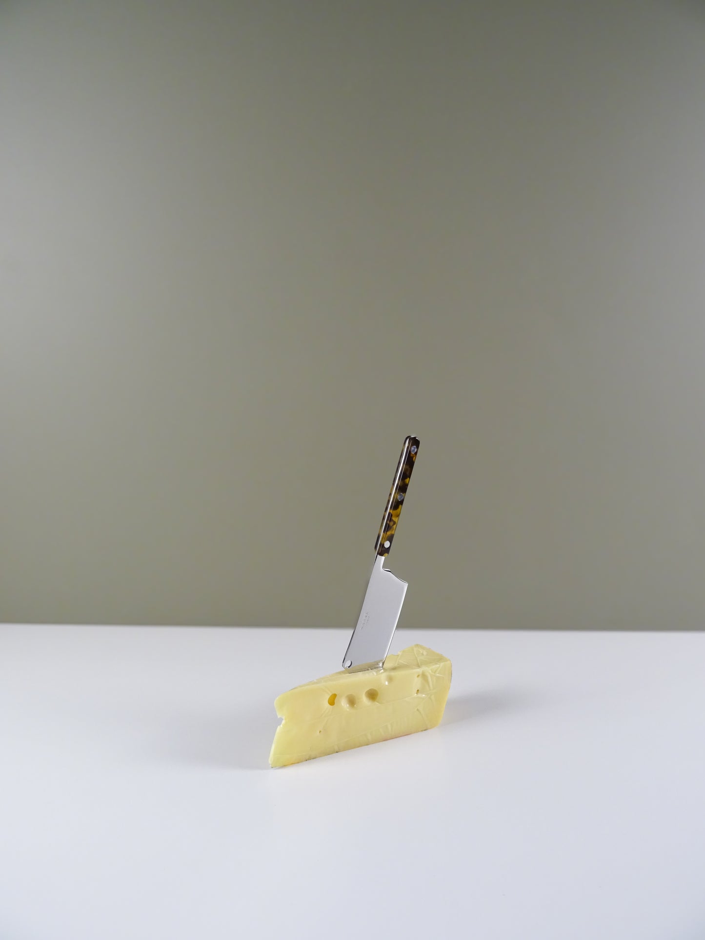 Bistrot Cheese Cleaver - Tortoise