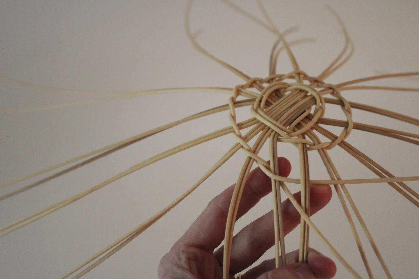 Beginner Basket Weaving Kit: The Sweet Onion