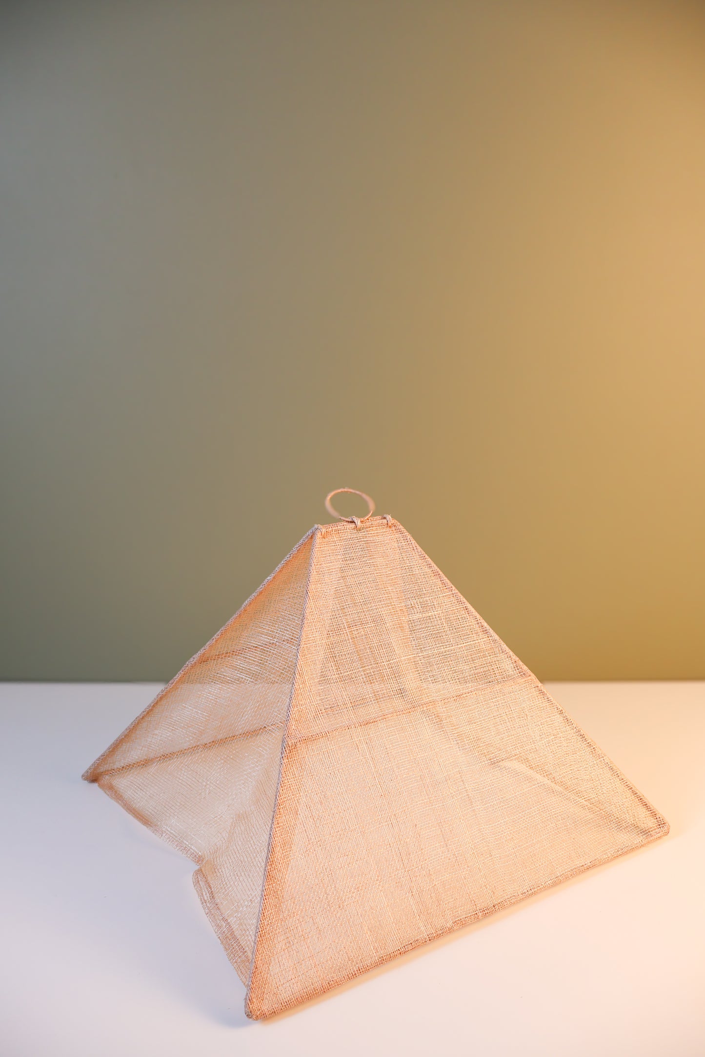 Small Collapsible Food Tent - Rose