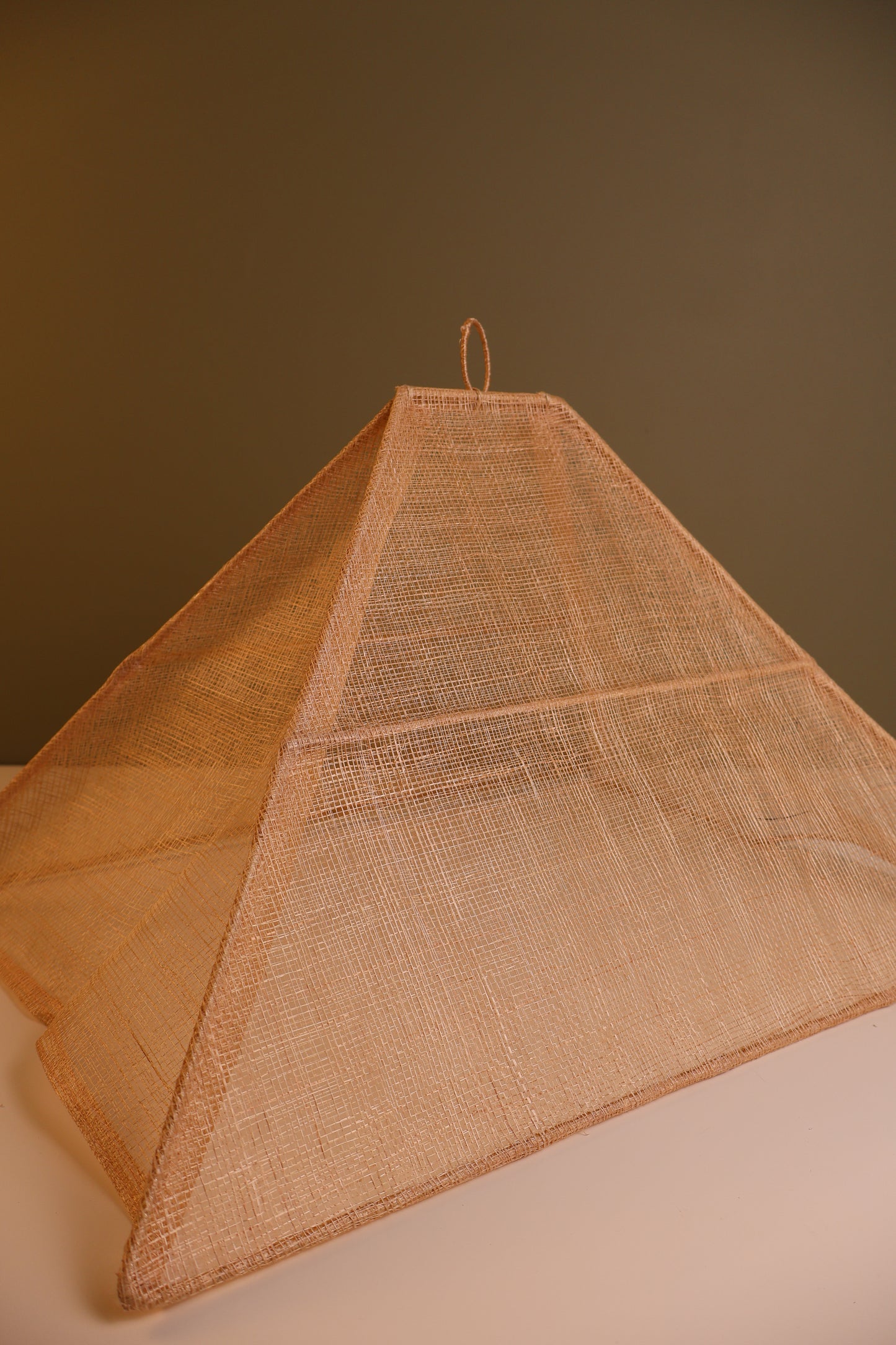 Large Collapsible Food Tent - Rose