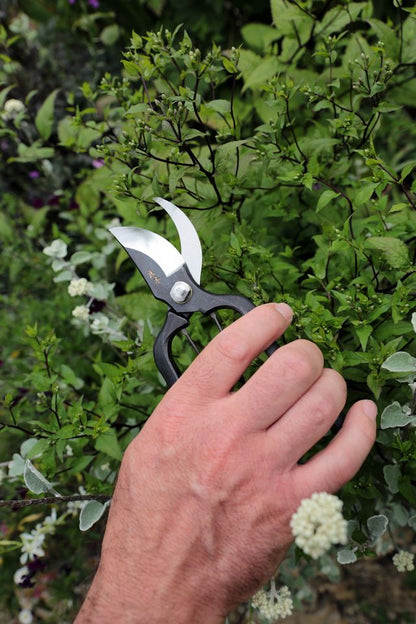 Sentei Secateurs