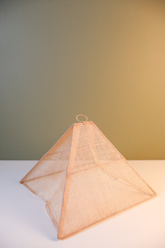 Small Collapsible Food Tent - Rose