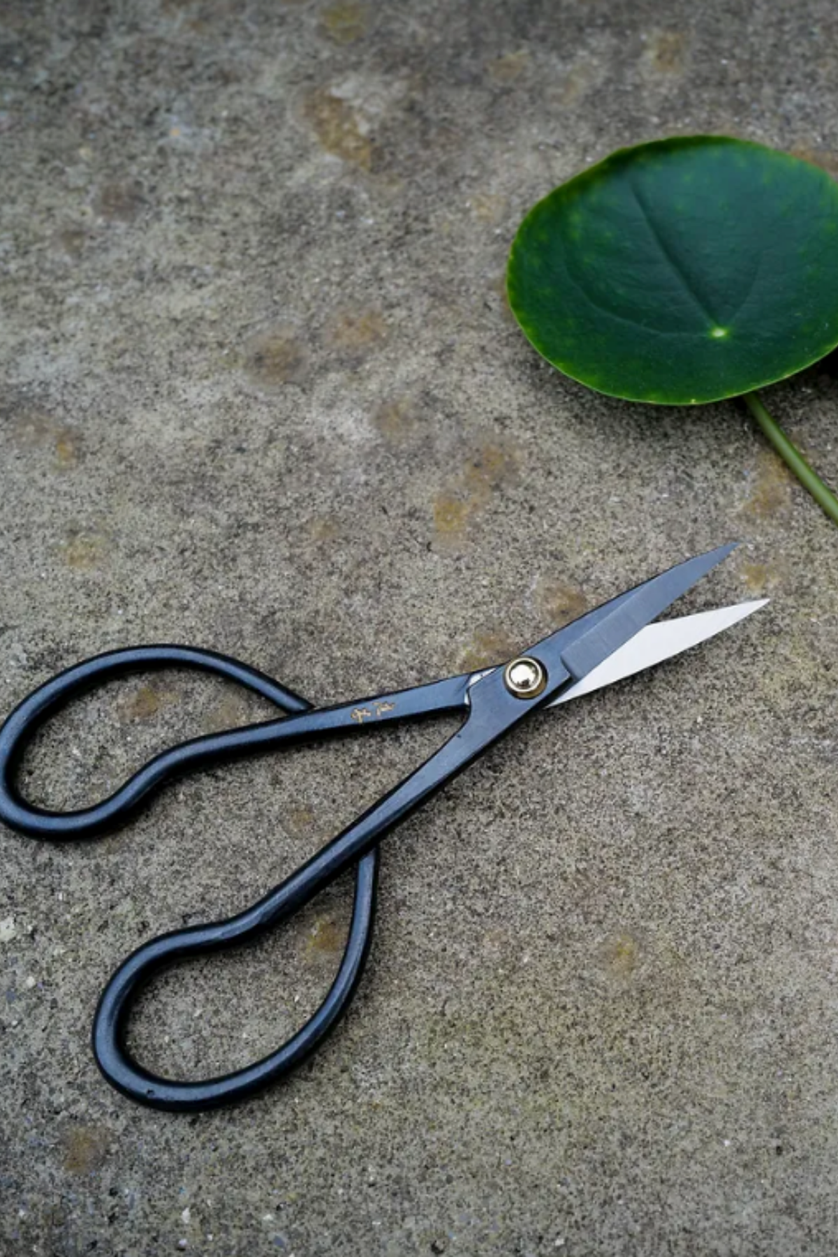 Higurashi Japanese garden snips by Niwaki