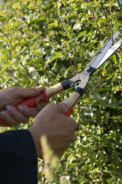Mini Japanese garden shears by Niwaki