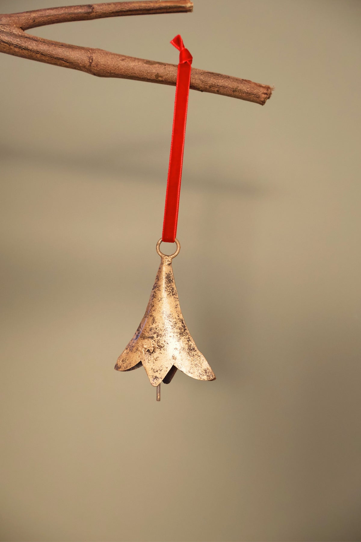 Bijou Rustic Scallop Bell in antique gold hanging from a branch on a holly red velvet ribbon