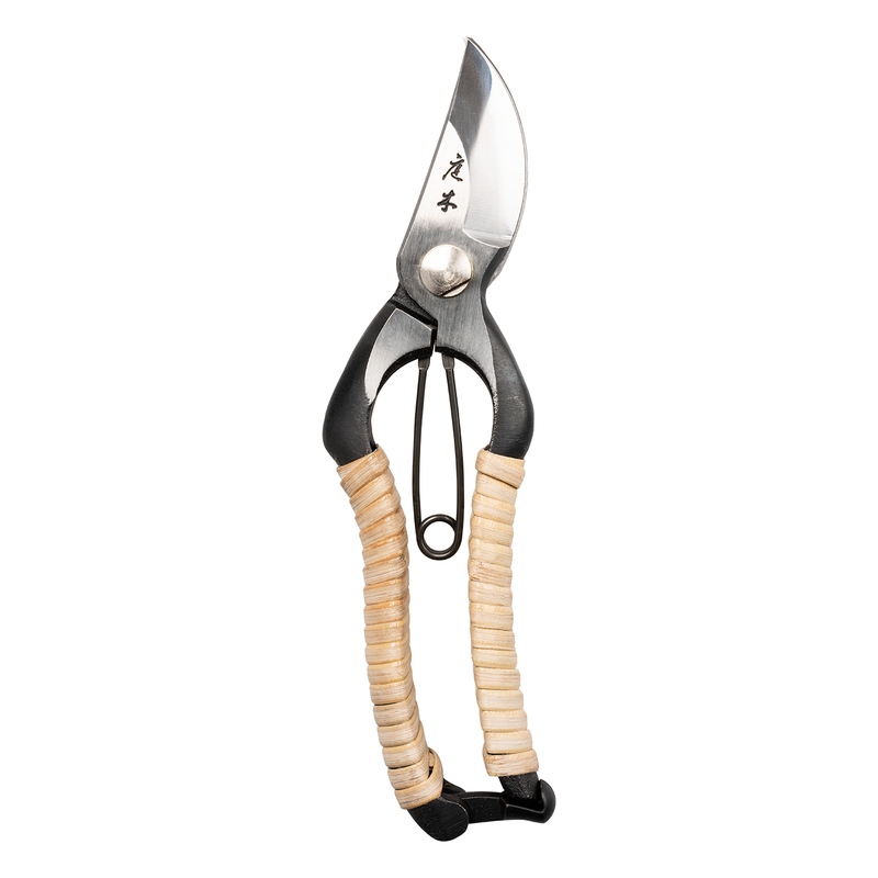 Fujimaki Rattan Secateurs