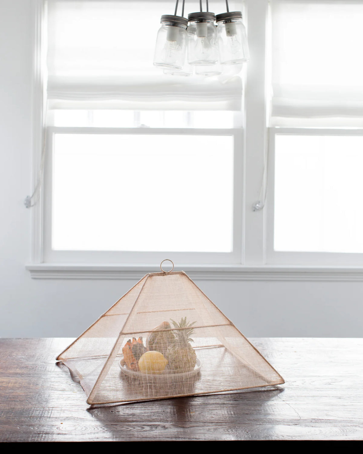 Large Collapsible Food Tent - Rose